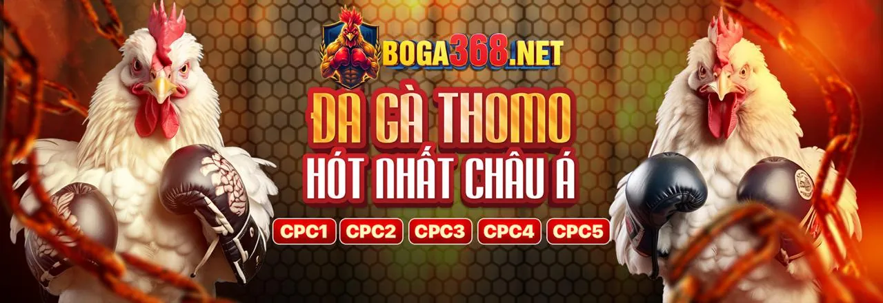 Hình ảnh chính hy88 ios Đá Gà, đấu trường gà kịch tính
